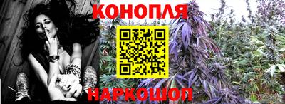 метадон Пенза