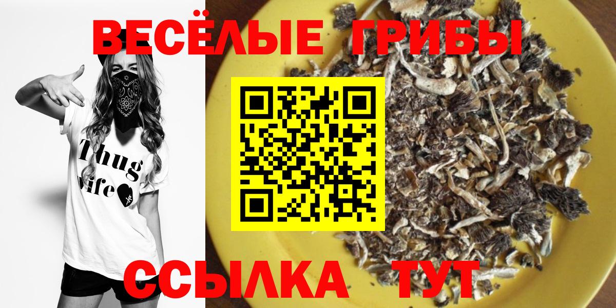 Медногорск  Псилоцибиновые грибы Cubensis  Вход с VPN  закладки  Галлюциногенные грибы Psilocybe 